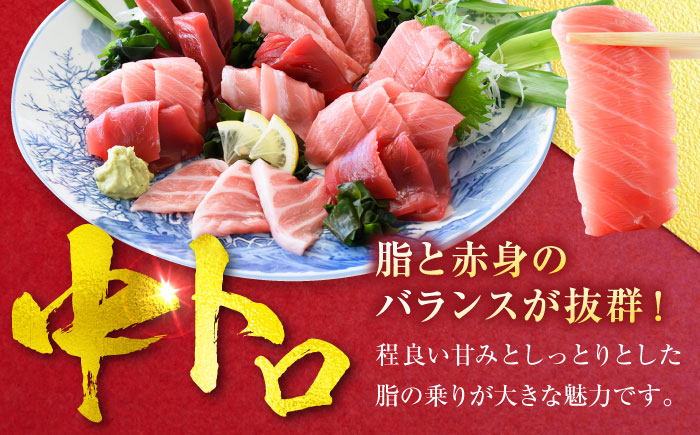 【年内発送の受付は12月24日まで！】天然 本まぐろ大トロ＆中トロ 各4柵（計約1.8kg） 年内発送 【横須賀商工会議所 おもてなしギフト事務局（本まぐろ直売所 横須賀本店）】 [AKAK111]