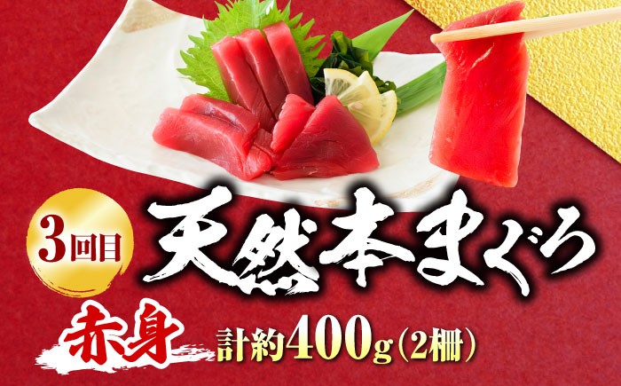 【全3回定期便】まぐろ 豪華 食べ比べ 定期便 【横須賀商工会議所 おもてなしギフト事務局（本まぐろ直売所 横須賀本店）】 [AKAK122]