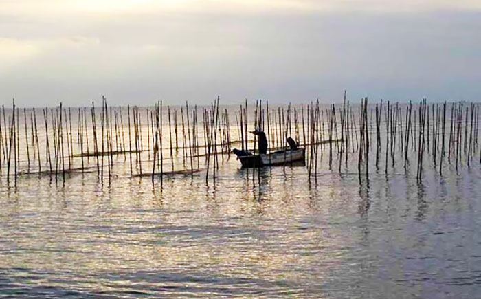 走水 焼のり 2帖（10枚×2） ＆ 昆布 100g ＆ カレー 3種 詰め合わせ【株式会社向井製茶問屋】 [AKBB006]
