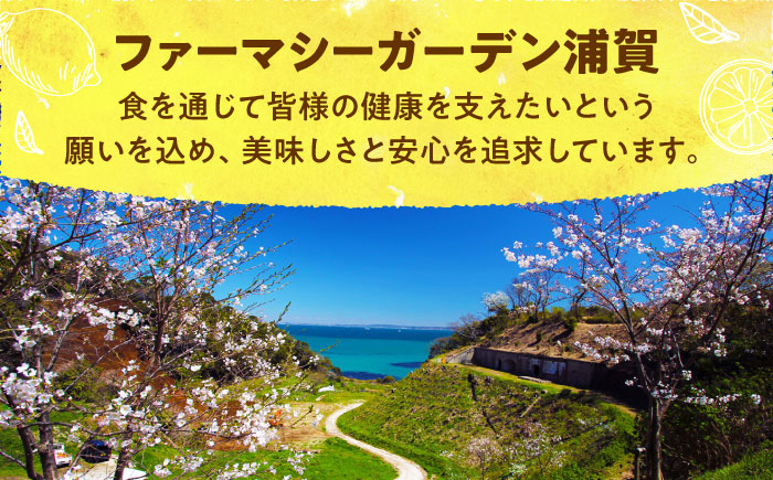 【先行予約】【数量限定20セット】浦賀産 黄色レモン 5kg【ファーマシーガーデン浦賀】 [AKBG002]