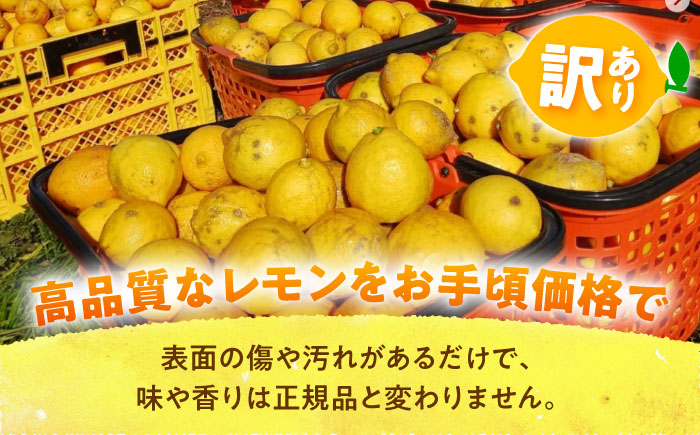 【先行予約】【数量限定20セット】浦賀産 訳ありレモン 5kg【ファーマシーガーデン浦賀】 [AKBG007]