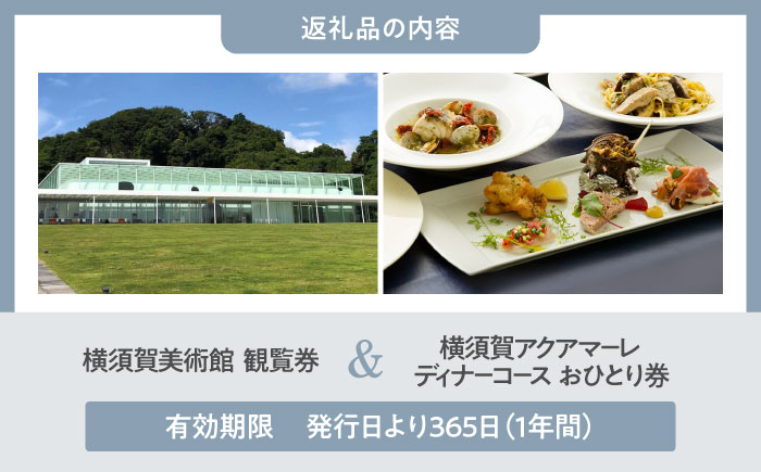 横須賀美術館観覧券＆レストランアクアマーレ食事券（ディナーコース/おひとり券）【横須賀美術館】 [AKBX002]