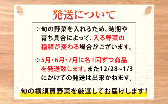 【先行予約】【全３回定期便】すずなり採れたて野菜BOX　(7～10品)  夏（5月～7月）【鈴也ファーム】 [AKCE007]