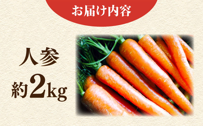 【先行予約】人参セット 約2kg 【鈴也ファーム】 [AKCE013]
