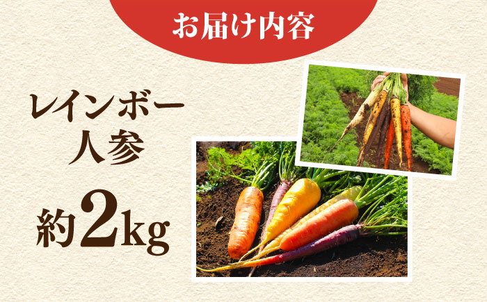 【先行予約】レインボー 人参セット 約2kg 【鈴也ファーム】 [AKCE014]