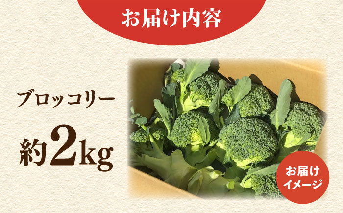 【先行予約】ブロッコリー 約2kg 【鈴也ファーム】 [AKCE018]