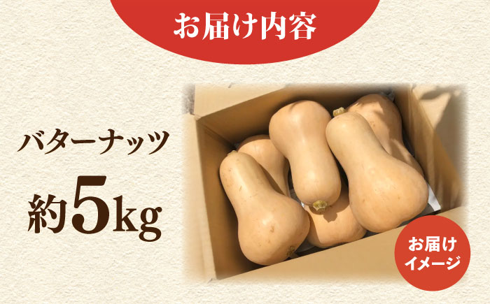 バターナッツ 約5kg 【鈴也ファーム】 [AKCE022]