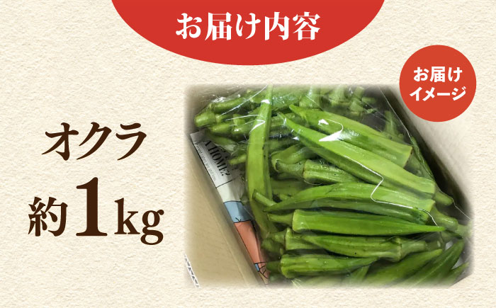 【先行予約】オクラ 約1kg【鈴也ファーム】 [AKCE023]