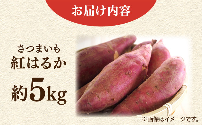 【先行予約】さつまいも 紅はるか 約5kg【鈴也ファーム】 [AKCE025]