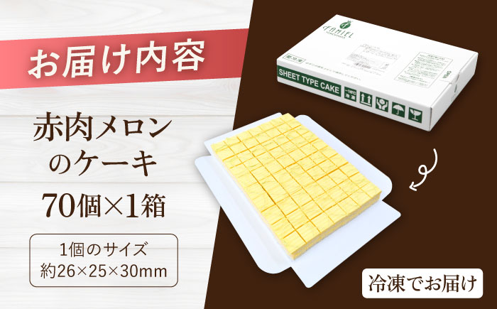 赤肉メロンのケーキ 【ファミール製菓株式会社】 [AKCI025]