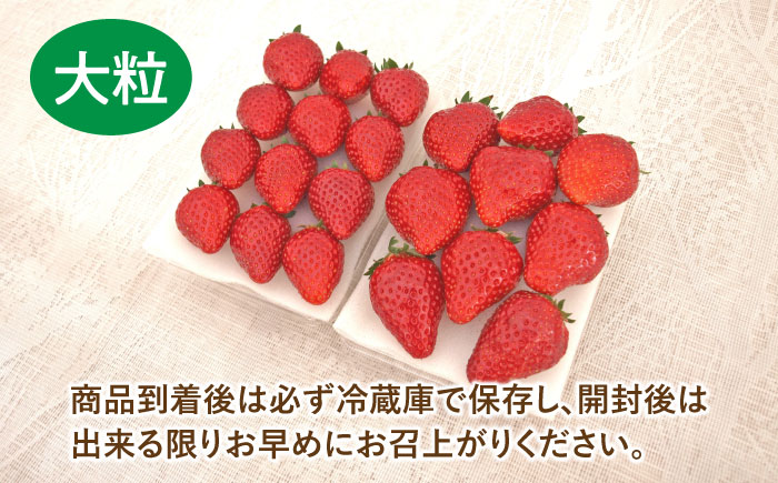 【先行予約】【数量限定100セット】嘉山農園の完熟大粒いちご とちおとめ（300g×2パック）【いちごはうす嘉山農園】 [AKCO001]