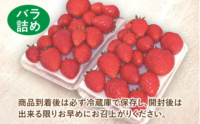 【先行予約】【数量限定200セット】嘉山農園の完熟バラ詰めいちご とちおとめ（260g×2パック）【いちごはうす嘉山農園】 [AKCO002]