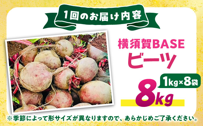 【全6回定期便】横須賀BASEビーツ 8kg（1kg×8袋）【ゆり子ファーム】 [AKCR008]