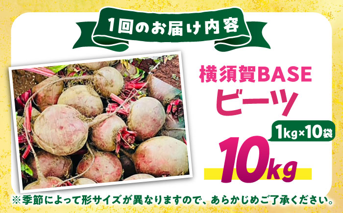 【全12回定期便】横須賀BASEビーツ 10kg（1kg×10袋）【ゆり子ファーム】 [AKCR012]