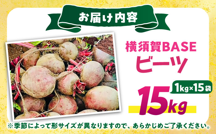 横須賀BASEビーツ 15kg（1kg×15袋）【ゆり子ファーム】 [AKCR013]