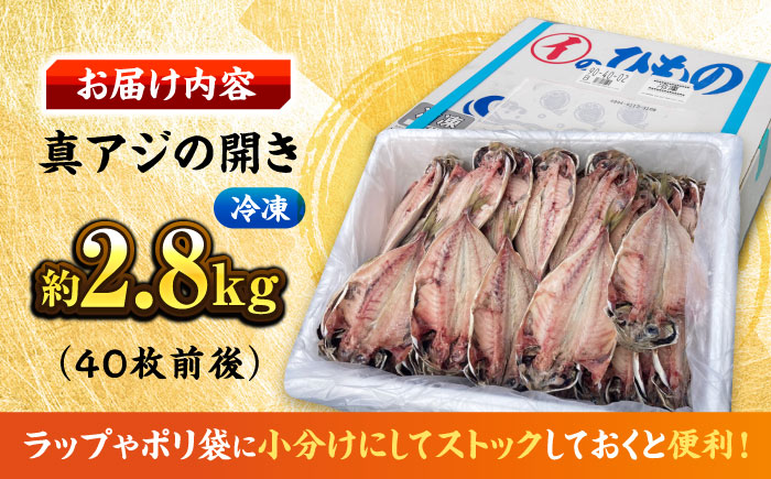【年内発送の受付は12月24日まで！】【訳あり】漁師町佐島 真アジの開き 約2.8kg（40枚前後）セット 干物 横須賀 干物セット 干物 年内発送 【石川水産】 [AKCX001]