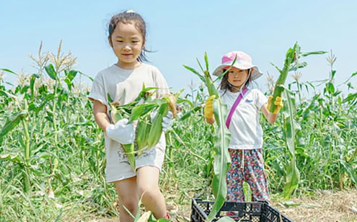 三浦半島の野菜収穫体験【株式会社シテコベ】 [AKDQ001]