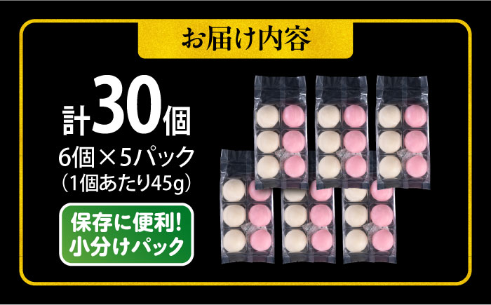 【年内発送の受付は12月24日まで！】【訳あり】丸餅 6個入り×5パック 30個入り 大容量 もち 餅 年内発送 【有限会社さかくら総本家】 [AKEI005]