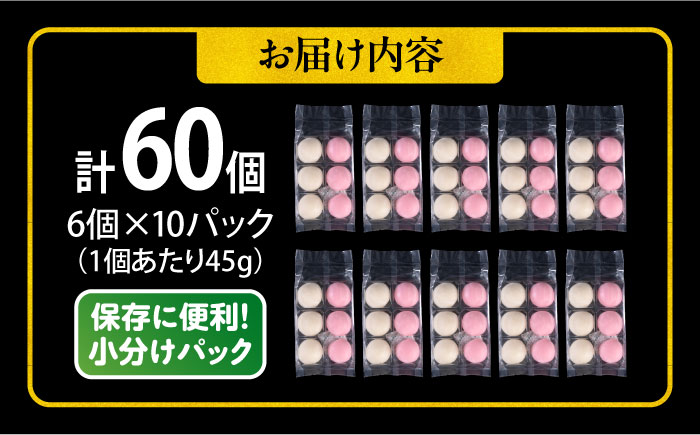 【年内発送の受付は12月24日まで！】【訳あり】丸餅 6個入り×10パック 60個入り 大容量 もち 餅 年内発送 【有限会社さかくら総本家】 [AKEI006]