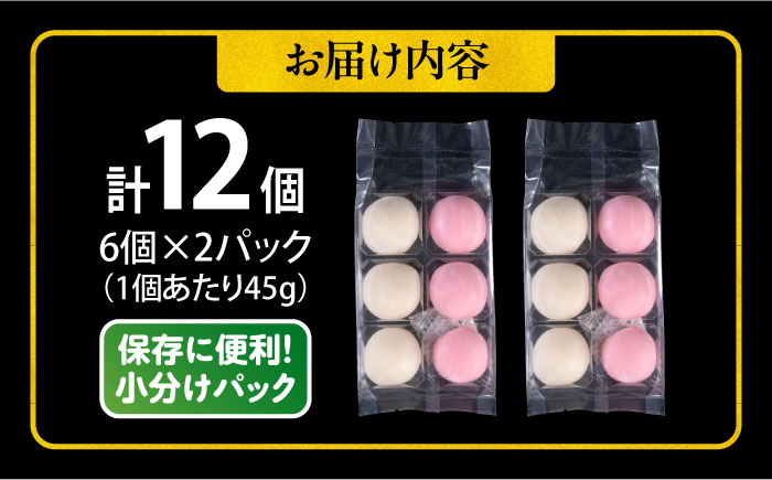 【年内発送の受付は12月24日まで！】【訳あり】丸餅 6個入り×2パック 12個入り もち 餅 年内発送 【有限会社さかくら総本家】 [AKEI007]