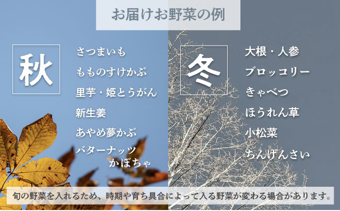 横須賀産野菜セット 7種 詰め合わせ【横須賀商工会議所 おもてなしギフト事務局（三浦半島直売所）】 [AKES001]