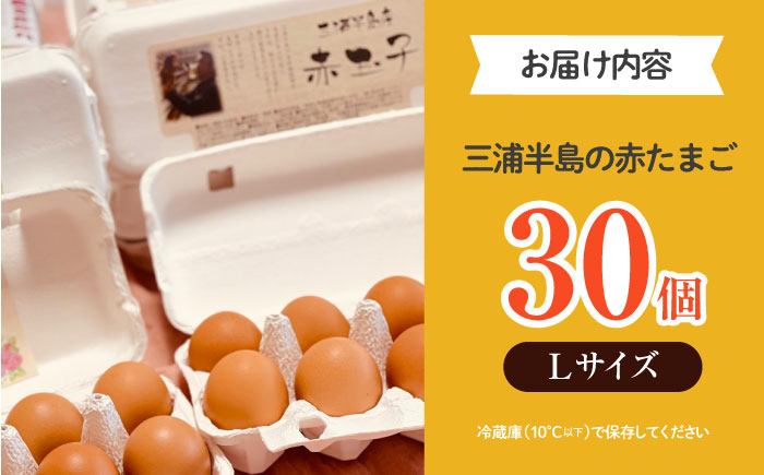 餌にこだわった三浦半島産赤たまご　30個　【横須賀商工会議所　おもてなしギフト事務局（岩沢ポートリー）】 [AKET004]