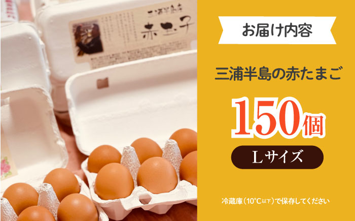 餌にこだわった三浦半島産赤たまご　Lサイズ10kg（約150個）　【横須賀商工会議所　おもてなしギフト事務局（岩沢ポートリー）】 [AKET006]