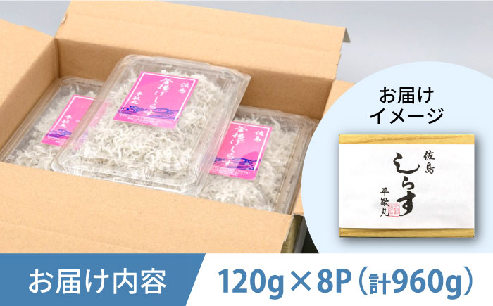 釜揚げ 湘南しらす 960g 小分け 120g×8パック シラス しらす 釜揚げ【平敏丸】 [AKEZ002]