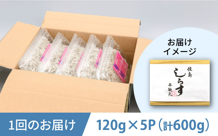 【全3回定期便】釜揚げ 湘南しらす 600g 小分け 120g×5パック【平敏丸】 [AKEZ005]