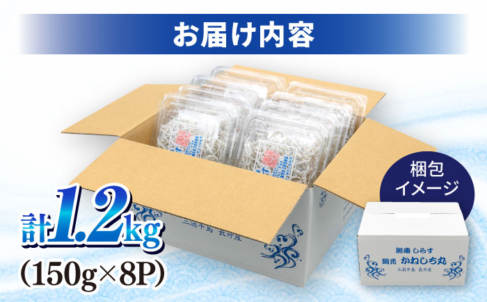 釜揚げしらす1.2kg（150ｇ×8パック）【かねしち丸水産】 [AKFL002]