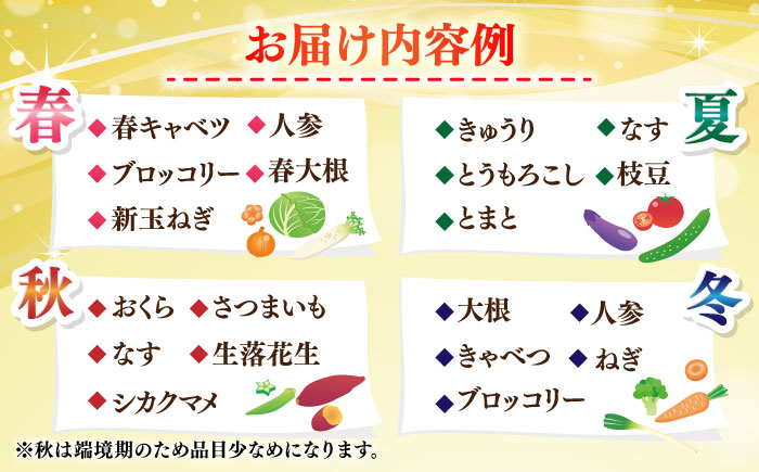 よこすか野菜セット すかなボックス 【JAよこすか葉山】 [AKFO001]