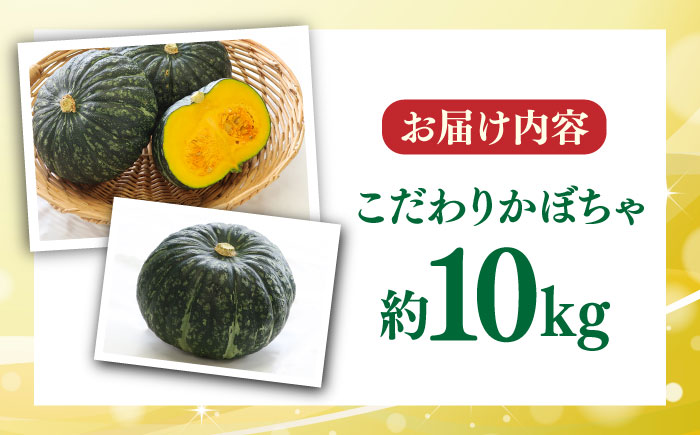 【先行予約】【数量限定50セット】よこすか こだわりかぼちゃ 約10kg【JAよこすか葉山】 [AKFO004]
