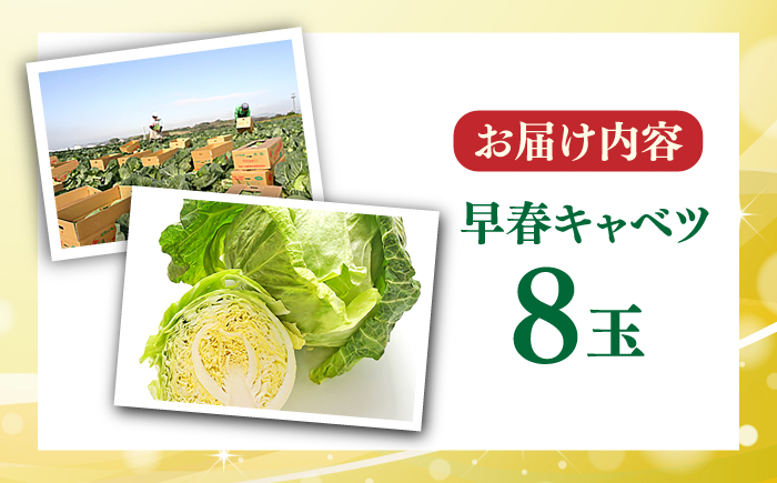 【先行予約】よこすか 早春キャベツ 8玉入り【JAよこすか葉山】 [AKFO006]