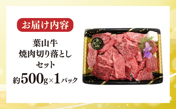 【冷蔵発送でお届け】 葉山牛 焼肉用切り落としセット 約500g 【JAよこすか葉山】 [AKFO011]