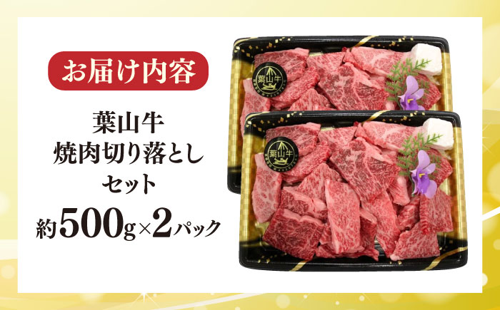 【冷蔵発送でお届け】 葉山牛 焼肉用切り落としセット 約1kg 【JAよこすか葉山】 [AKFO012]