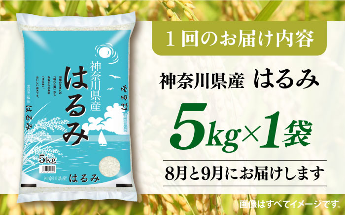 【2025年8月・9月発送】【2回定期便】令和6年産　お米　はるみ　5kg【株式会社ヨコショク】 [AKGC003]