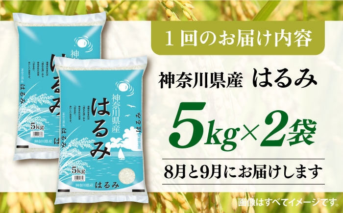 【2025年8月・9月発送】【2回定期便】令和6年産　お米　はるみ　10kg【株式会社ヨコショク】 [AKGC004]