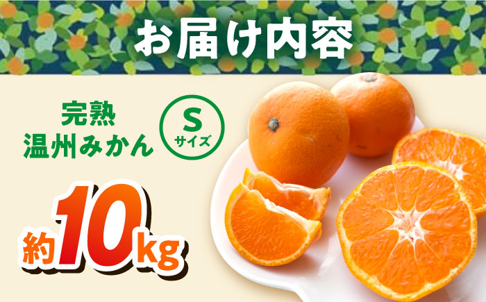 温州みかん 約10kg Sサイズ 津久井浜みかん【志村農園】 [AKGH001-3]