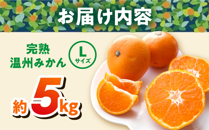 温州みかん 約5kg Lサイズ 津久井浜みかん【志村農園】 [AKGH003-1]