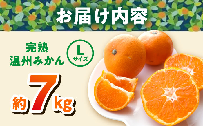 温州みかん 約7kg Lサイズ 津久井浜みかん【志村農園】 [AKGH003-2]
