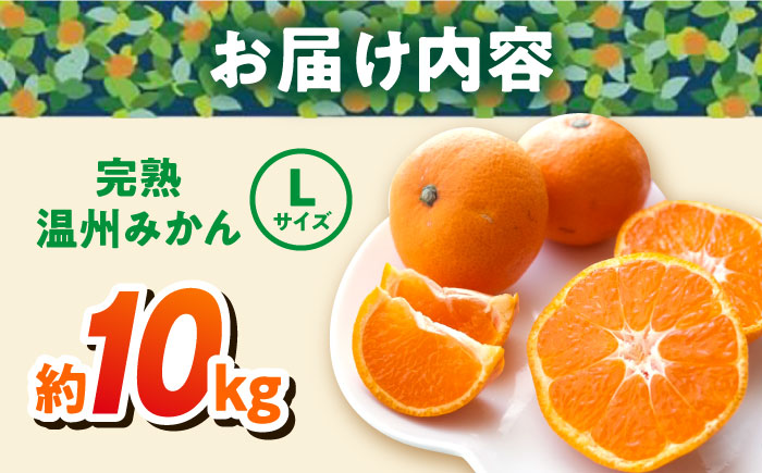 温州みかん 約10kg Lサイズ 津久井浜みかん【志村農園】 [AKGH003-3]