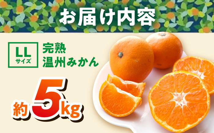 【年内発送の受付は12月22日まで！】温州みかん LLサイズ 約5kg 津久井浜みかん 蜜柑 ミカン 果物 柑橘 フルーツ 横須賀 年内発送【志村農園】 [AKGH004-1]