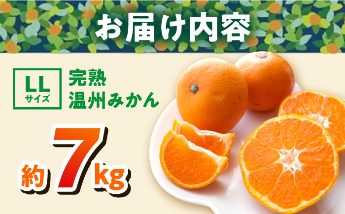 【年内発送の受付は12月22日まで！】温州みかん LLサイズ 約7kg 津久井浜みかん 蜜柑 ミカン 果物 柑橘 フルーツ 横須賀 年内発送【志村農園】 [AKGH004-2]
