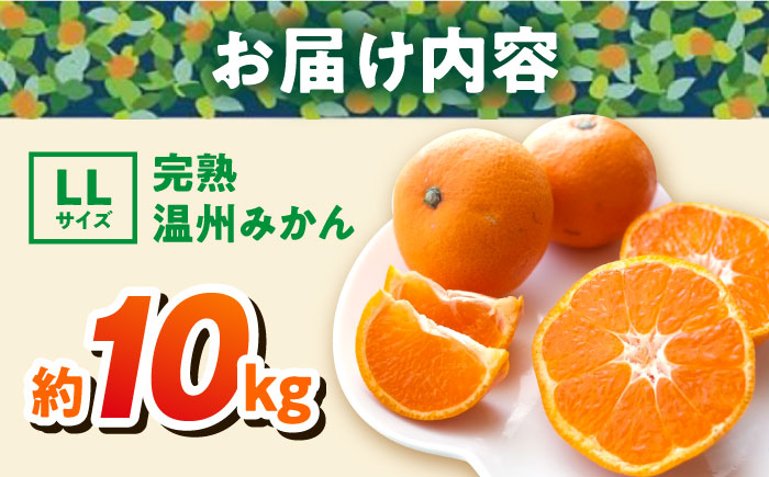 【年内発送の受付は12月22日まで！】温州みかん LLサイズ 約10kg 津久井浜みかん 蜜柑 ミカン 果物 柑橘 フルーツ 横須賀 年内発送【志村農園】 [AKGH004-3]