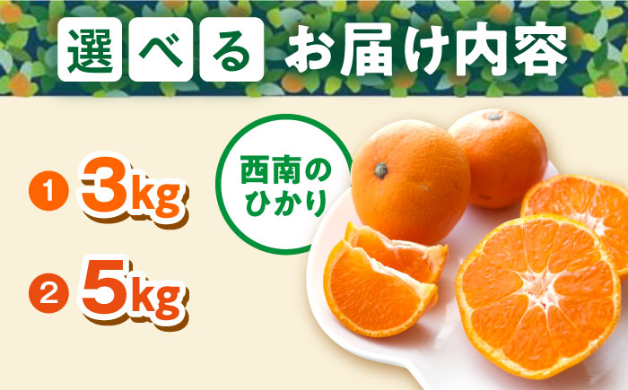 【年内発送の受付は12月22日まで！】【選べる容量！】 西南のひかり 年内発送 【志村農園】 [AKGH005] 約3kg