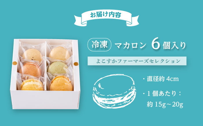 マカロン6個セット　よこすかfarmersSelection マカロン　お菓子　スイーツ 野菜　【マカルース】 [AKGS001]