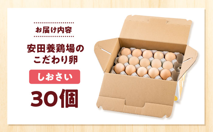 【年内発送の受付は12月18日まで！】【数量限定100セット】安田養鶏場の卵 しおさい 30個入り 横須賀市 産地直送 割れ保証付き たまご 黄身 濃厚 卵 玉子 タマゴ 鶏卵 年内発送 【安田養鶏場】 [AKHN001]