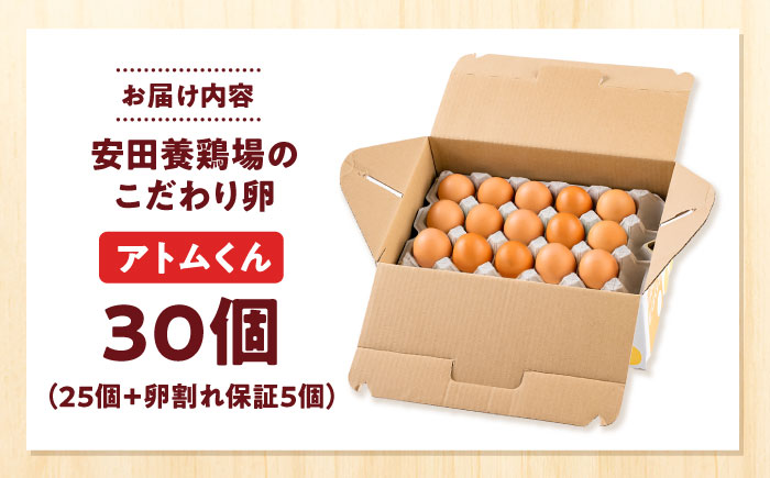 【年内発送の受付は12月18日まで！】安田養鶏場の卵 アトムくん 30個入り 横須賀市 産地直送 割れ保証付き たまご 黄身 濃厚 卵 玉子 タマゴ 鶏卵 年内発送【安田養鶏場】 [AKHN002]