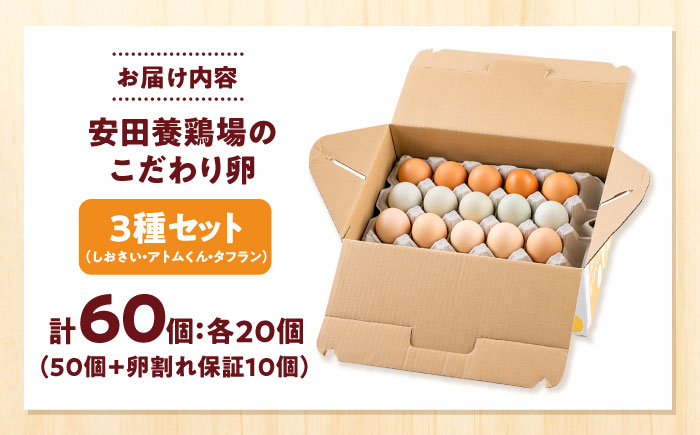 【年内発送の受付は12月18日まで！】安田養鶏場の卵 3種セット しおさい アトムくん タフラン 60個入り（各20個入り） 横須賀市 産地直送 割れ保証付き たまご 黄身 濃厚 卵 玉子 タマゴ 鶏卵 年内発送【安田養鶏場】 [AKHN007]