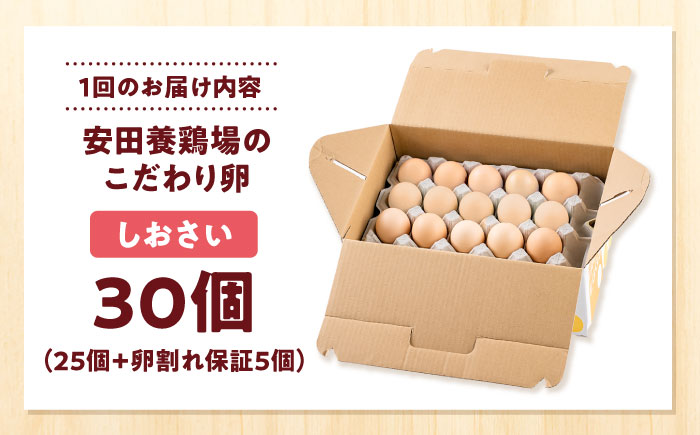 【全3回定期便】【数量限定50セット】安田養鶏場の卵 しおさい 30個入り 横須賀市 産地直送 割れ保証付き たまご 黄身 濃厚 卵 玉子 タマゴ 鶏卵 【安田養鶏場】 [AKHN008]